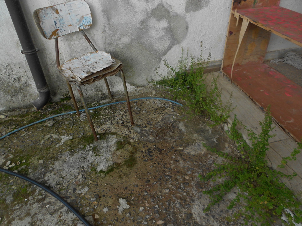DSCN1908