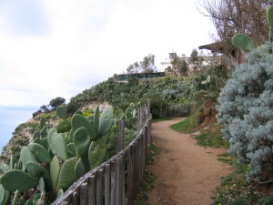 capo vaticano (31)