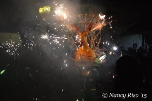 festa immacolata nicotera 2015 (52) - Copia