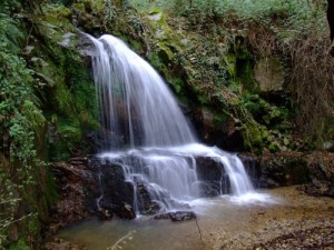 Uno "scorcio" acquarese