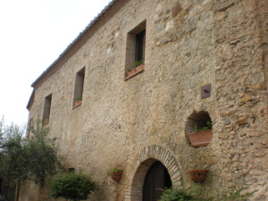 san gregorio d'ippona e frazioni (58)