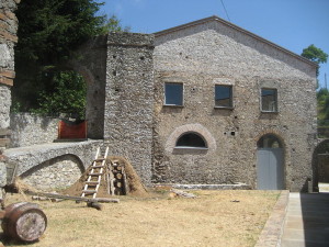 mongiana (48)