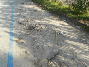 spiaggia formicoli (21)